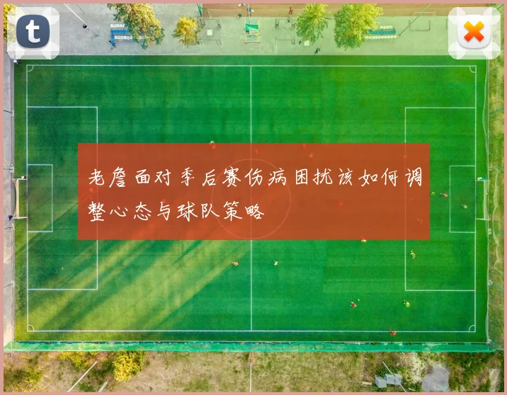 老詹面对季后赛伤病困扰该如何调整心态与球队策略
