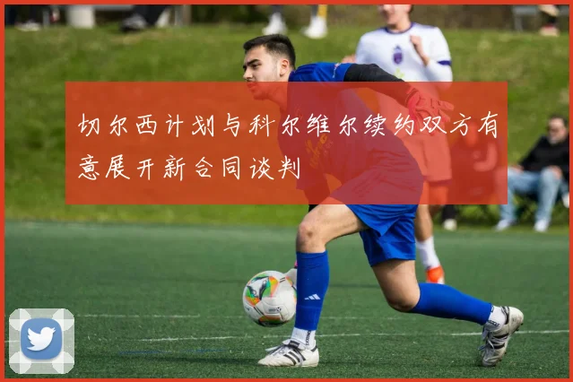 切尔西计划与科尔维尔续约双方有意展开新合同谈判