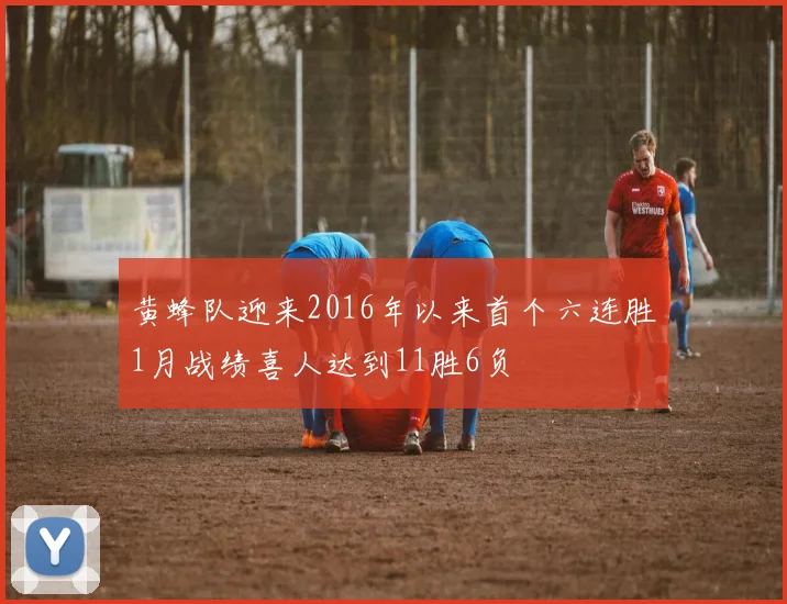 黄蜂队迎来2016年以来首个六连胜1月战绩喜人达到11胜6负