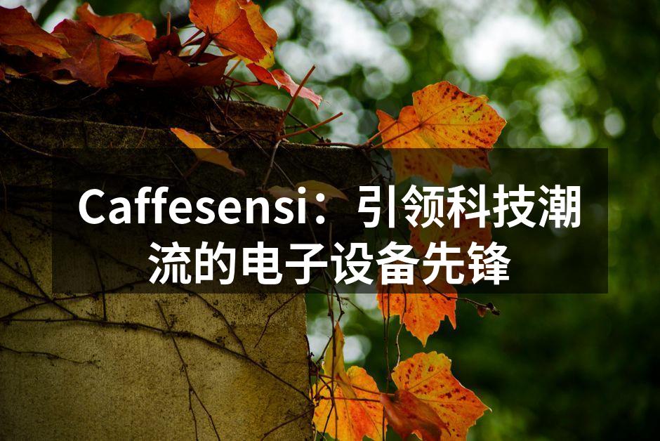 Caffesensi：引领科技潮流的电子设备先锋